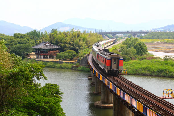 istock Train running on a lake in the forest 1343052801