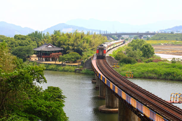 istock Train running on a lake in the forest 1343052897