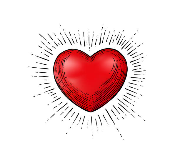 ilustraciones, imágenes clip art, dibujos animados e iconos de stock de ilustración con un corazón rojo en estilo de grabado retro dibujado a mano. - engraved image illustrations