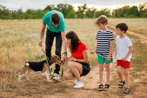 istock Family walk and training dog 1343070285