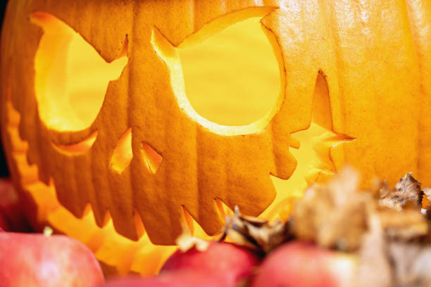 devilish atmosphere of Halloween is represented by pumpkin head jack lantern in apples and dry autumn leaves