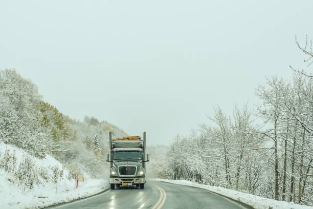 istock Trucking in Alaska 1343075251