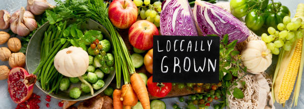 istock Local farmers food 1343078267