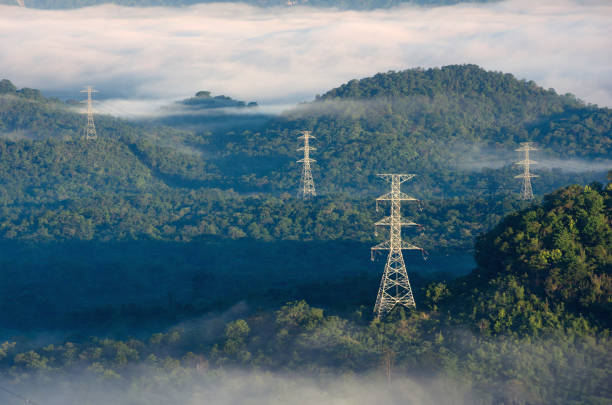 Transmission tower in green forest and beautiful morning smooth fog. Energy and environment concept. High voltage power poles.