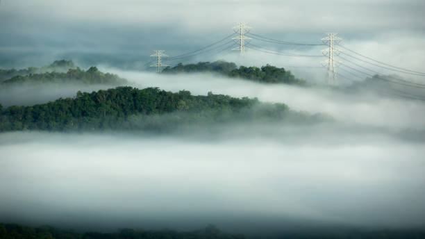 istock High voltage power poles in green forest with fog. 1343079273