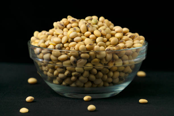 Soybean on white background