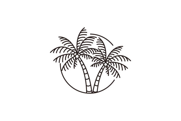 palm tree line art minimalist vector symbol illustration design palm tree line art minimalist vector symbol illustration design coconut palm tree stock illustrations