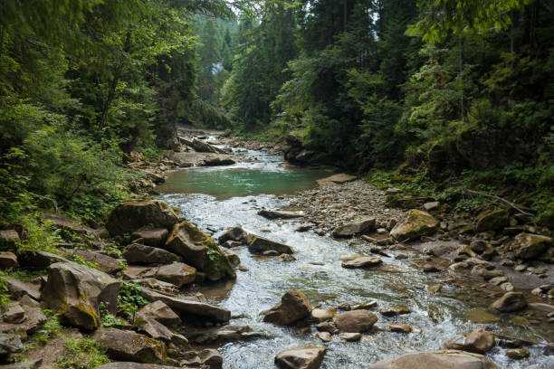 istock Small river flowing rapidly and vividly through its wild stony valley 1343086957