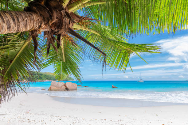 istock Beautiful Anse Lazio beach in Praslin island, Seychelles 1343087632