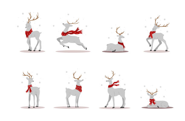 ilustraciones, imágenes clip art, dibujos animados e iconos de stock de renos navideños con bufandas. lindos ciervos con astas de pie y saltando. elementos de diseño invernal. ilustración vectorial en estilo de dibujos animados planos - reindeer