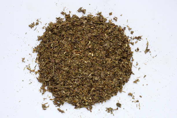 istock Dried absinthe wormwood on white background. 1343090563