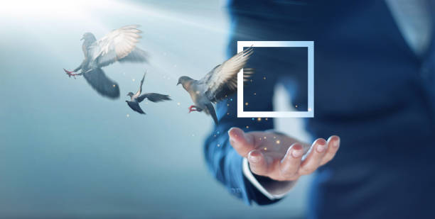 Abstract. Think outside the box concept. Businessman with free birds flying out of square box.Thinking creativity, freely that challenge save zone mindset to find business creative solution and ideas. Abstract. Think outside the box concept. Businessman with free birds flying out of square box.Thinking creativity, freely that challenge save zone mindset to find business creative solution and ideas. protruding stock pictures, royalty-free photos & images