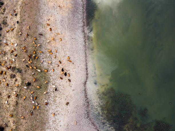 Aerial photo of a small lake stock photo