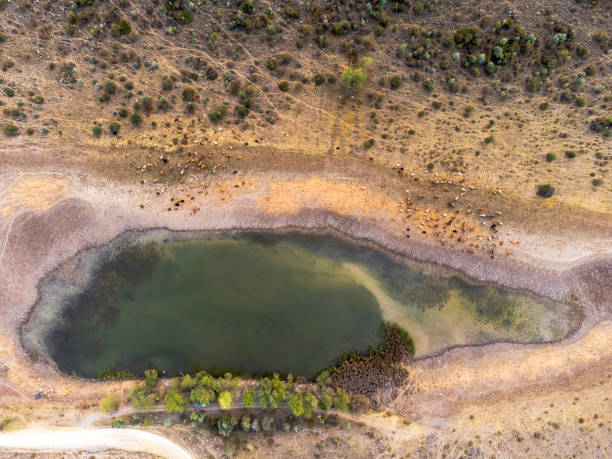 Aerial photo of a small lake stock photo