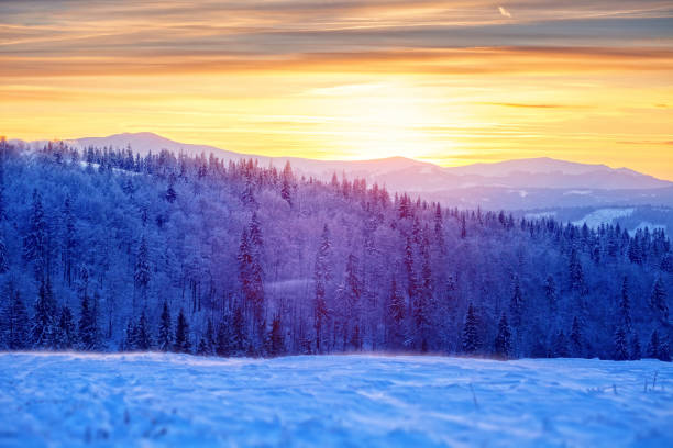 istock Sunset in mountain forest, winter landscape 1343105556