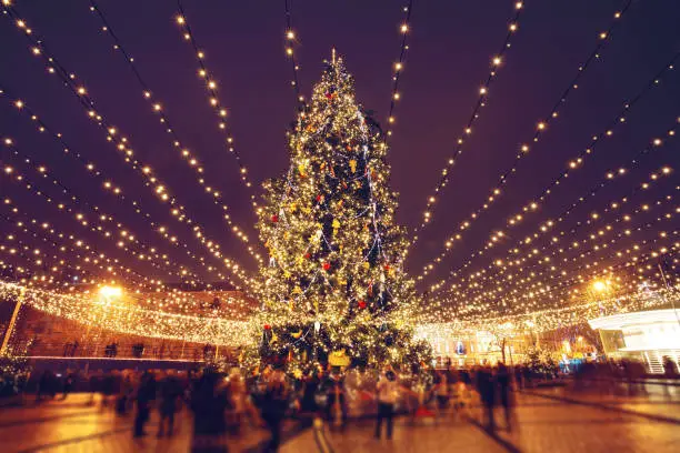 Photo of Christmas tree and lights at night in Kyiv