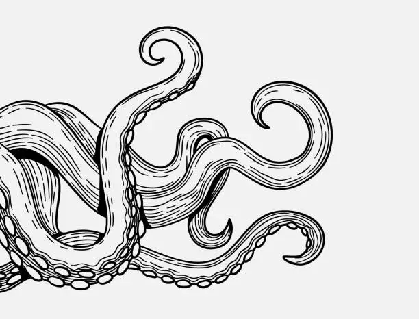 Vector illustration of Tentacles banner. Octopus tentacle sketch element. Decorative engraving sea animal parts vector poster