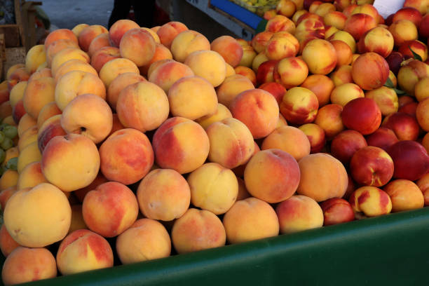 istock Fruits and vegetables at a bazaar in Croatia 1343110394
