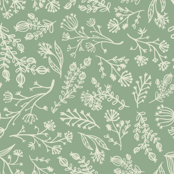 Botanical herbs seamless repeat pattern. Random placed, vector plants like grass, leaves, branches and weeds all over print on sage green background. all over pattern stock illustrations