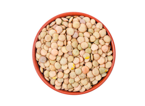 istock Brown Lentils in cup with bowl isolated on white background 1343118888