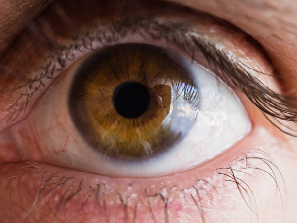 istock Human eye close up. Macro shot. Oculist concept 1343123346