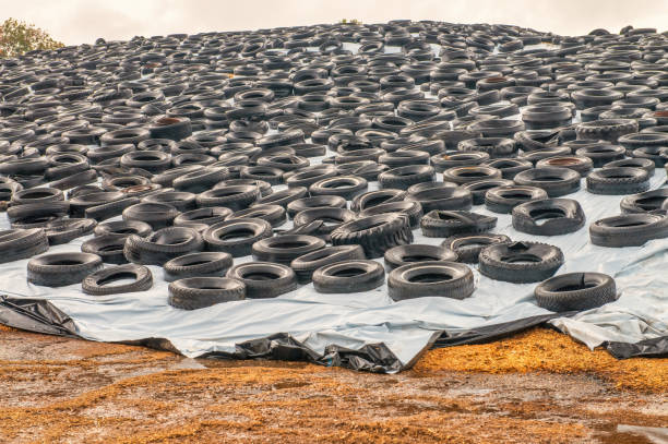 istock Open-air storage of car tires. 1343128451