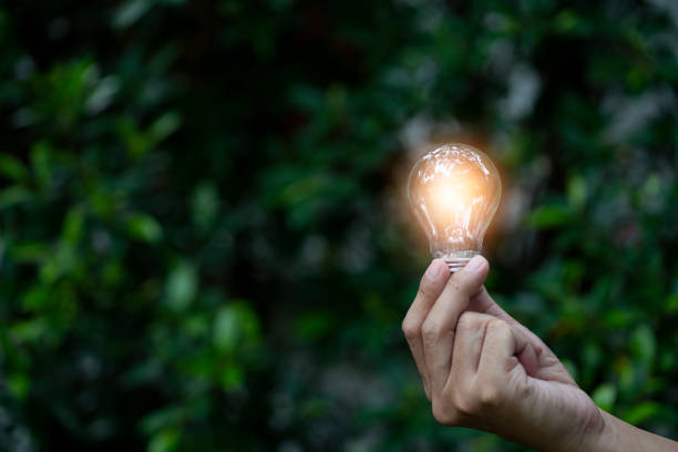 istock Hand man hold light bulb on green nature background 1343132198