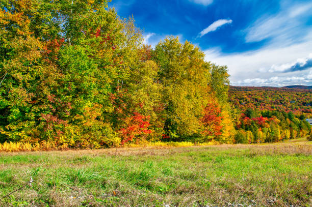 istock Smugglers' Notch State Park in autumn, New England. 1343136156