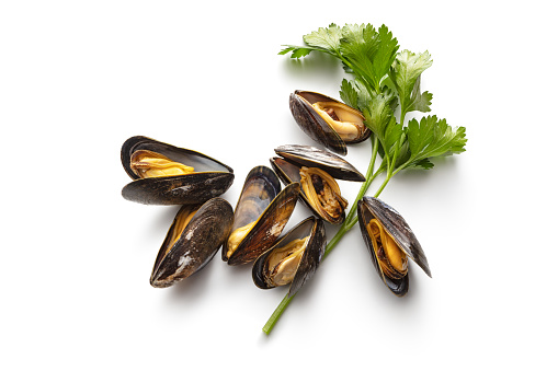 Seafood: Mussels and Parsley Isolated on White Background