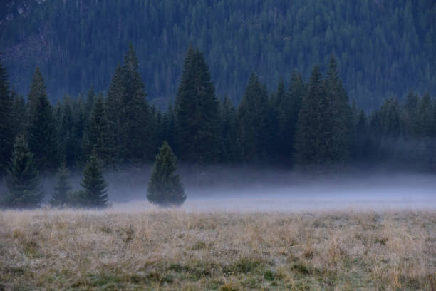 istock Early morning, Mist in Visdende valley  Dolomites Italy 1343136540