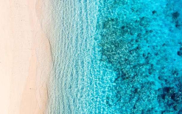 istock Beach and ocean as a background from top view. Azure water background from top view. Summer seascape from air. Travel and vacation image 1343153188