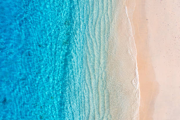istock Beach and ocean as a background from top view. Azure water background from top view. Summer seascape from air. Travel and vacation image 1343153190