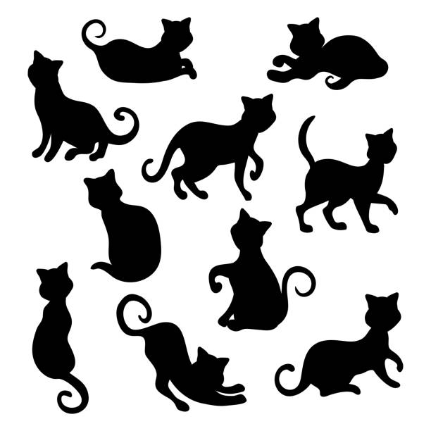 illustrations, cliparts, dessins animés et icônes de collection de 10 chats noirs d’halloween sur fond blanc - vector - silhouette animal black domestic cat