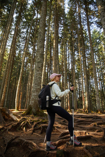 istock Young woman hiking in the forest 1343166148