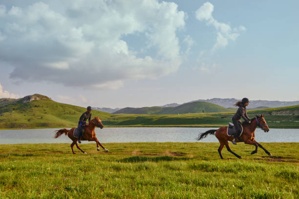 湖畔で乗馬を楽しむ若い観光カップル - mounted ストックフォトと画像