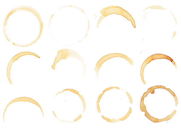 istock Set Dot  circle from the bottom cup- real coffee water paint on white paper in many strokes and technique of a brush. Illustration aroma beverage brush as coffee art isolated on white background. 1343169003