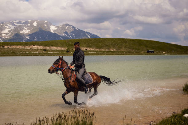 istock Rider galloping on horseback along the beach 1343169030