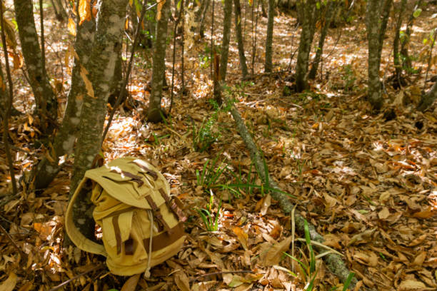 Photo of backpack resting on a leaf-covered ground in a chestnut forest