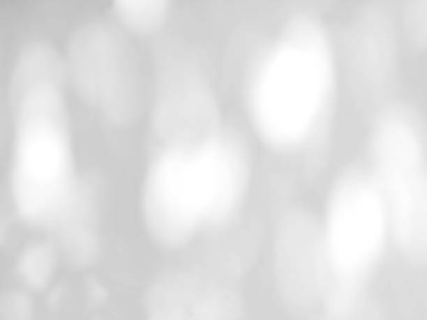 istock Abstract shadow of leaves on a white wall background 1343178213