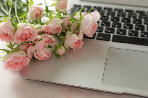 Pink roses on pink marble surface next to white keyboard