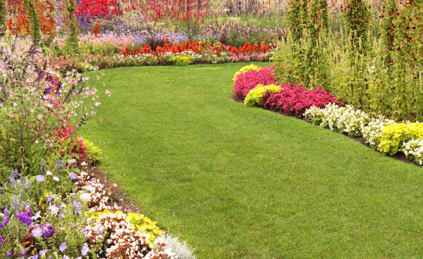 istock Garden path through the beautiful flower garden 1343198730