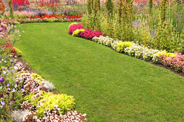 istock Garden path through the beautiful flower garden 1343198801