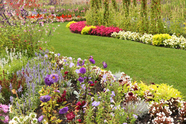 istock Garden path through the beautiful flower garden 1343202886
