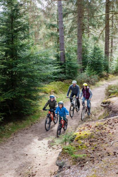 digital detox as a family - wood dirt road footpath exercising imagens e fotografias de stock