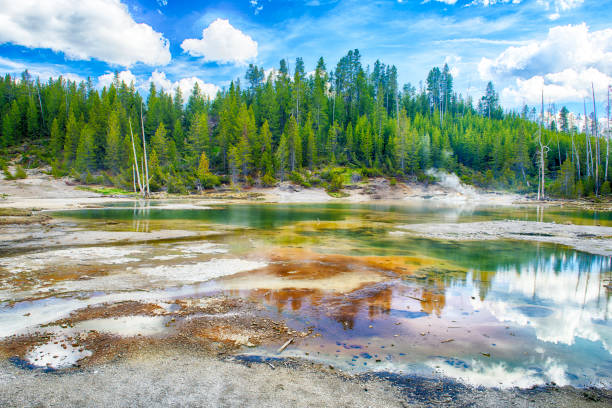 istock Geysers at Norris Basin in Yellowstone 1343204578