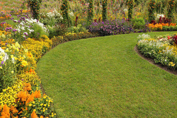 istock Garden path through the beautiful flower garden 1343204806