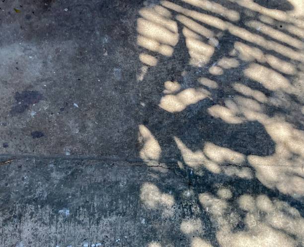 istock shadow of sunlight in the morning 1343207922