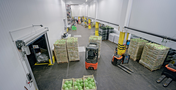 Rear view of male worker lifting crate of vegetables with forklift truck in warehouse.
