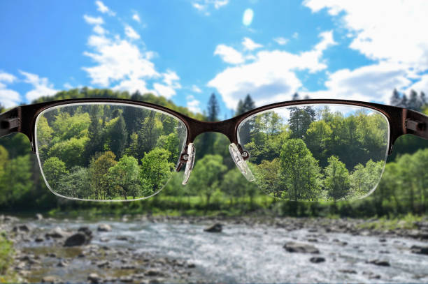 istock Focused landscape in glasses 1343214019