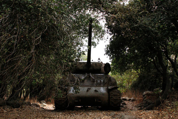 istock US Sherman tank in the forest 1343218596